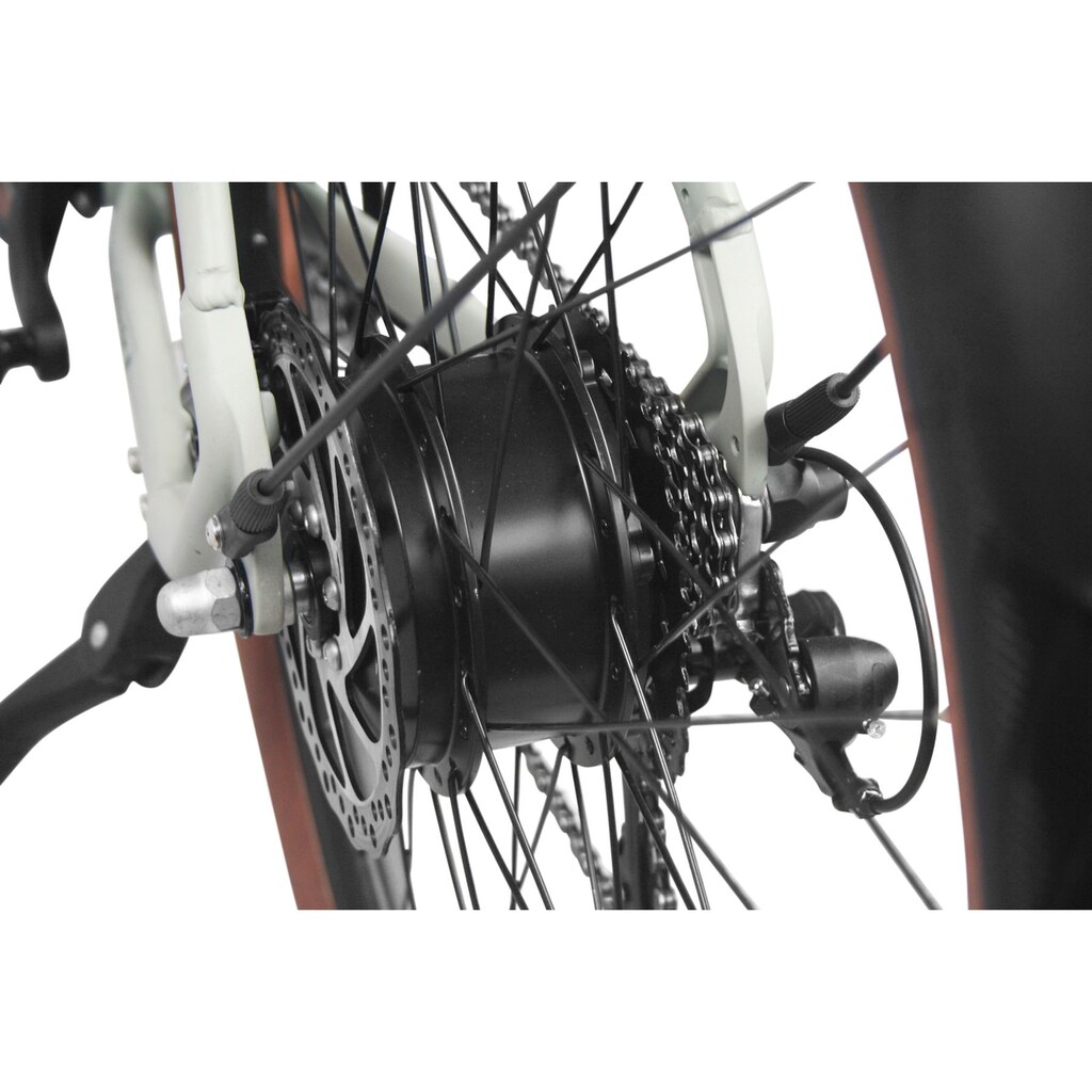 LLobe E-Bike »Utah Gent 2.1«, 21 Gang, Shimano, Shimano Tourney 21-Gang Kettenschaltung, Heckmotor 250 W, mit Bremslicht