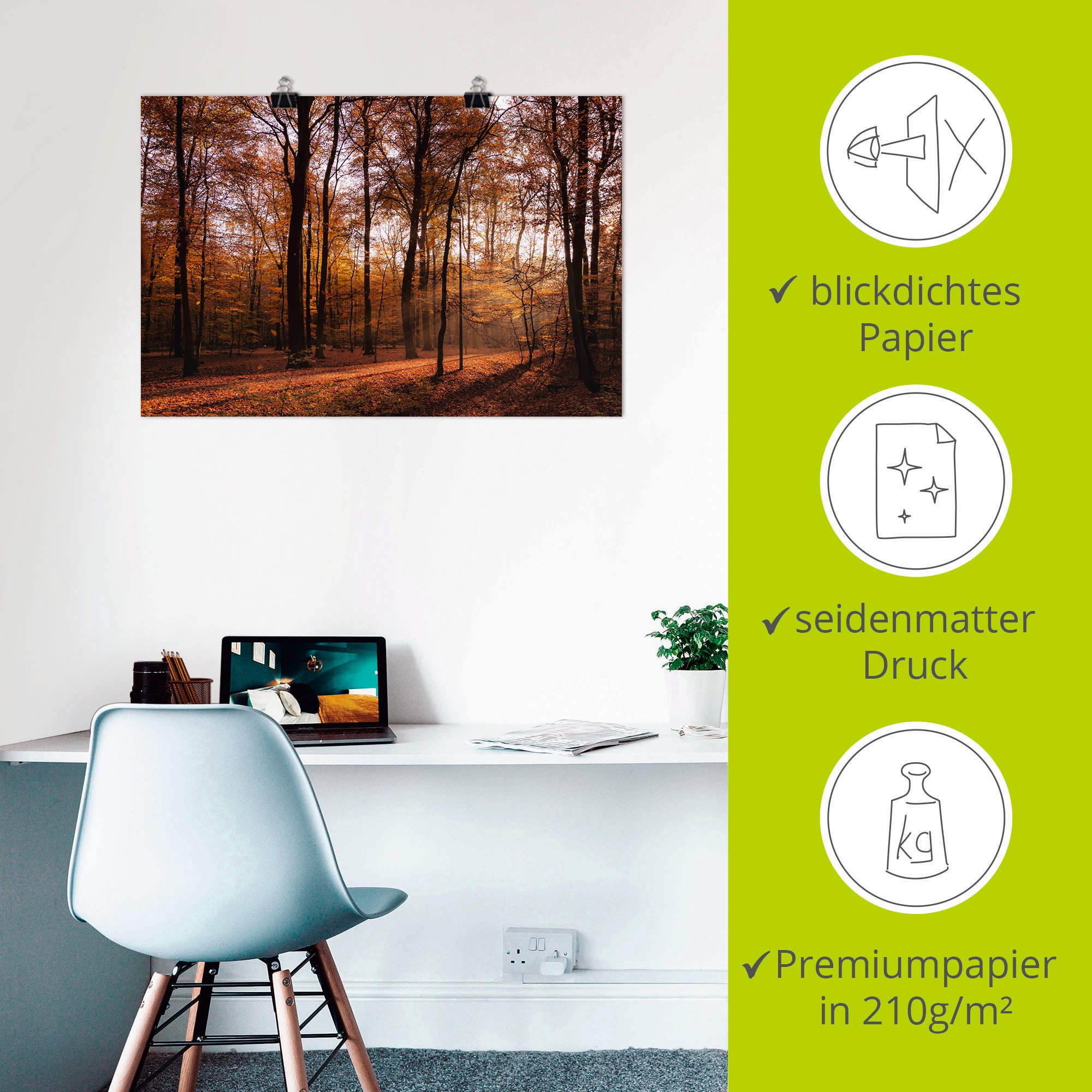 Artland Wandbild »Sonnenaufgang im Herbst II«, Wald, (1 St.), als Alubild, Outdoorbild, Leinwandbild, Poster, Wandaufkleber