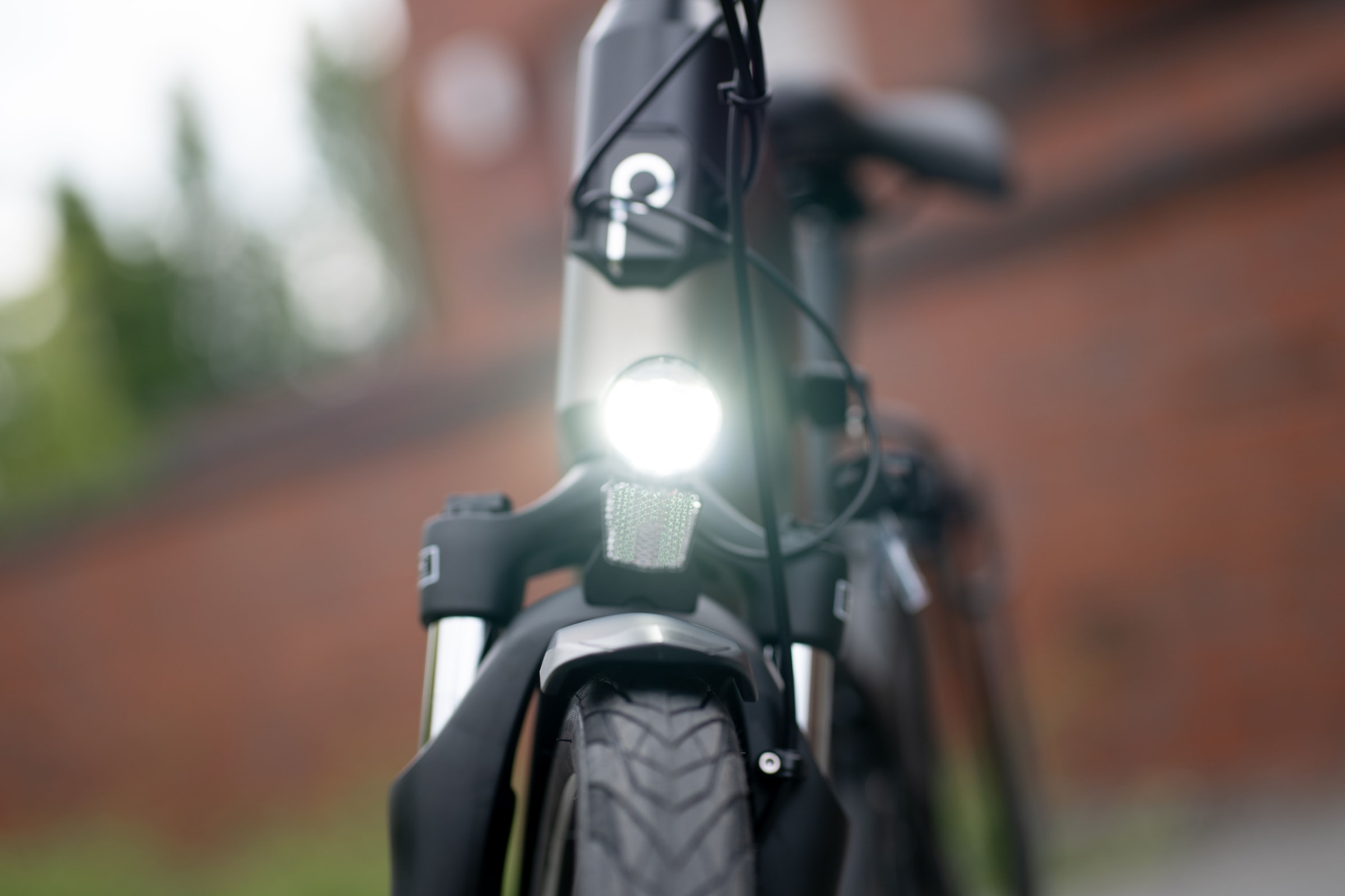 Prophete »Geniesser 3.8« 7 Gang Shimano Nexus Schaltwerk Nabenschaltung Mittelmotor 250 W