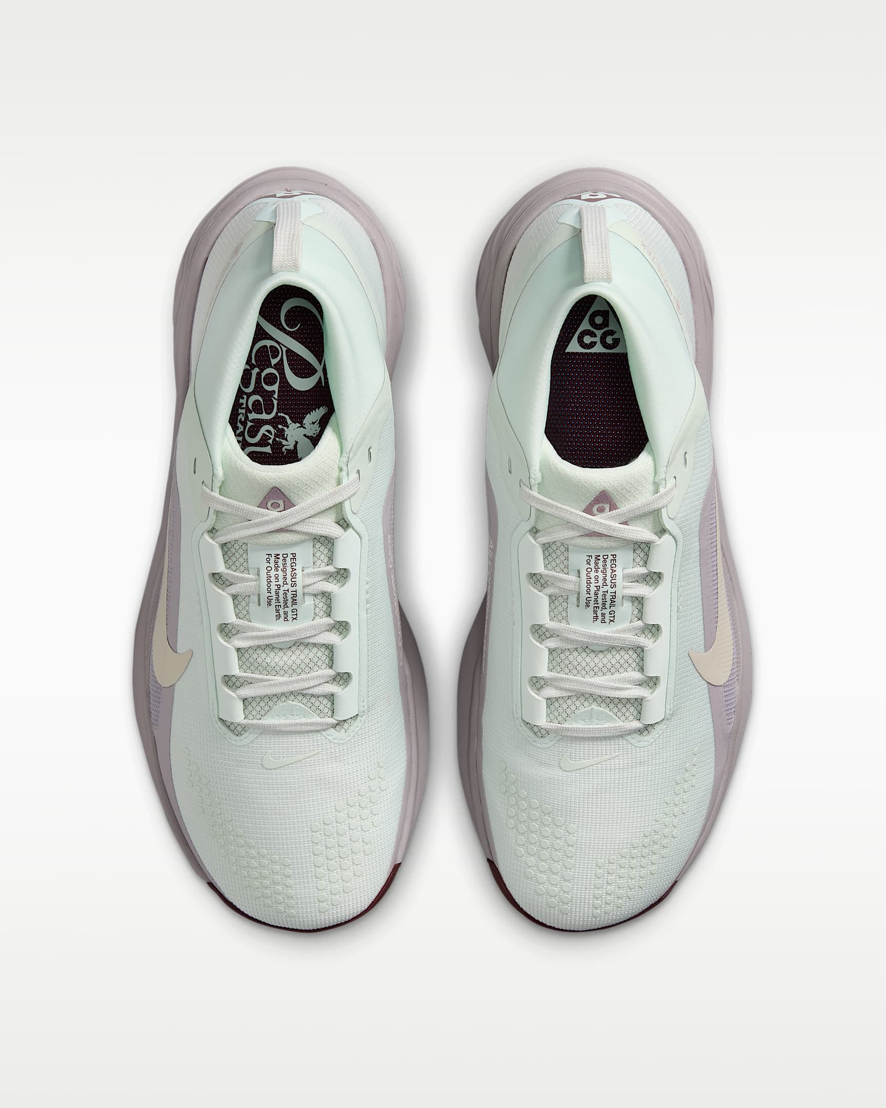 Nike Trailrunningschuh »Nike ACG Pegasus Trail GORE-TEX«  wasserdicht