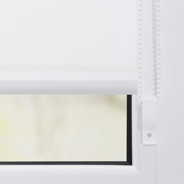LICHTBLICK ORIGINAL Seitenzugrollo »Klemmfix Motiv Birkenwald«,  Lichtschutz, ohne Bohren, freihängend, bedruckt online kaufen bei OTTO