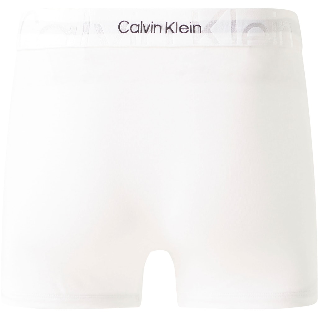 Calvin Klein Underwear Boxer