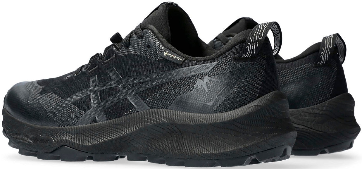 Asics Trailrunningschuh »GEL-TRABUCO 12 GORE-TEX«, Wasserdicht