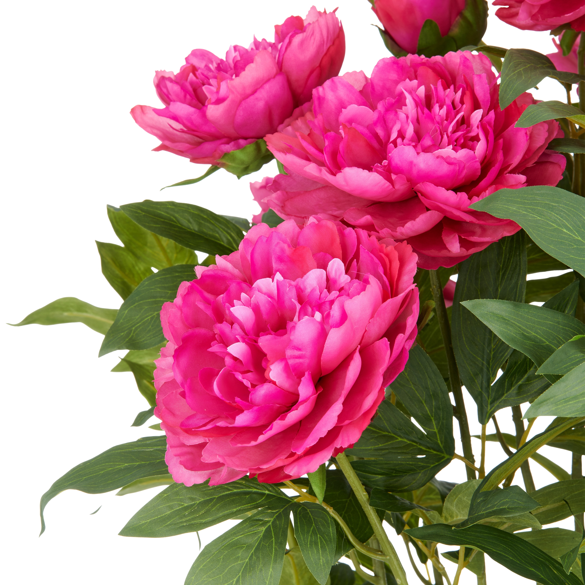 Creativ green Kunstpflanze »Peonie« im eleganten Topf