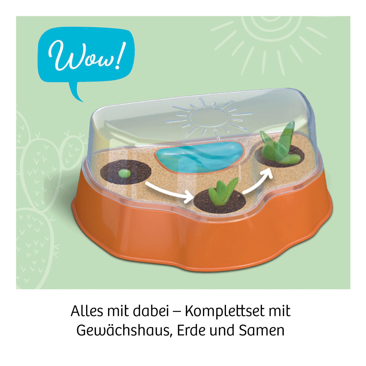 Kosmos Experimentierkasten »Kakteen-Wüste«, Made in Germany