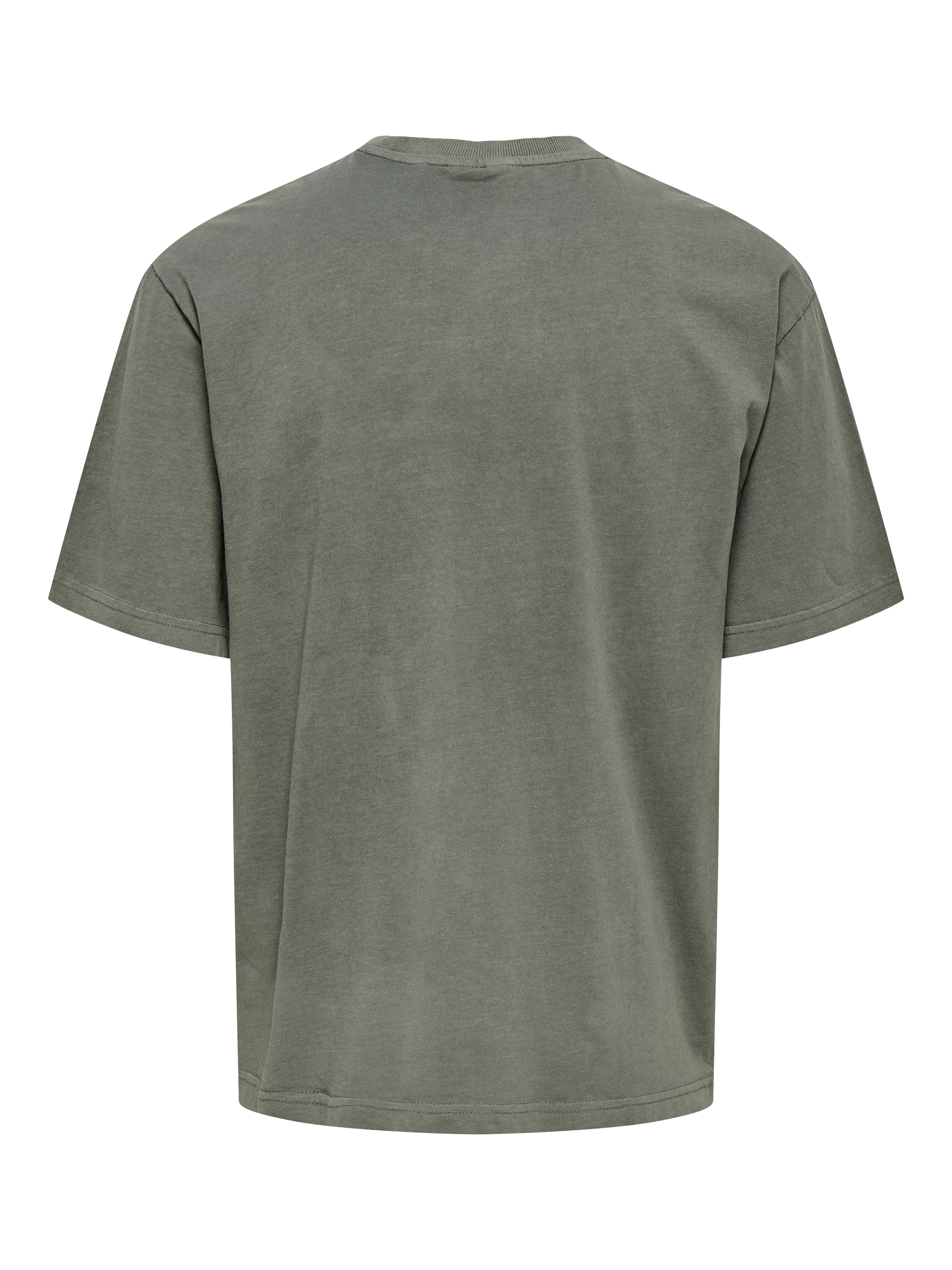 ONLY & SONS Rundhalsshirt »ONSDISTRESS RLX SS TEE«