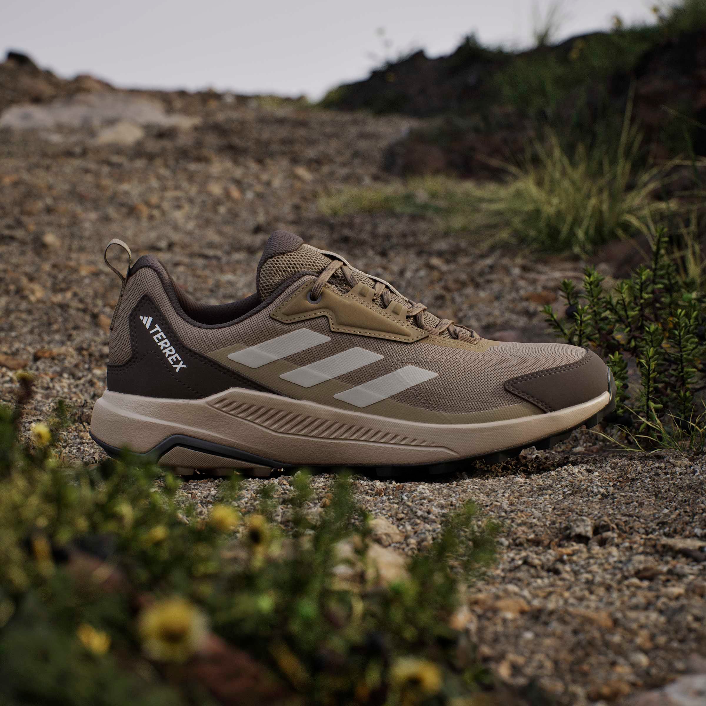 adidas TERREX Wanderschuh »ANYLANDER«