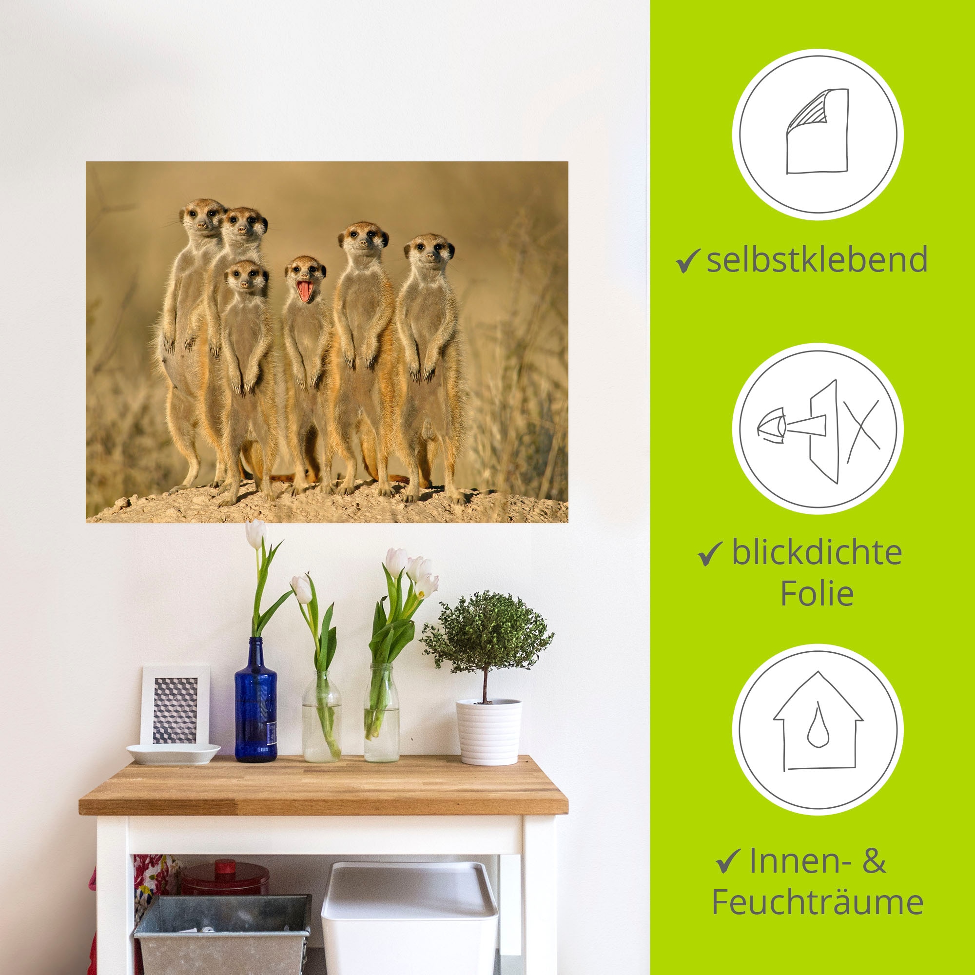 Artland Wandbild »Erdmännchen Familie«, Wildtiere, (1 St.), als Alubild, Outdoorbild, Leinwandbild, Poster, Wandaufkleber