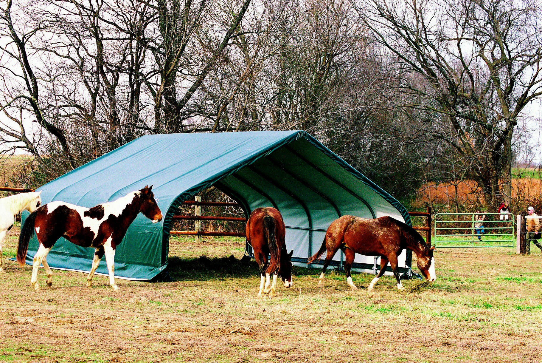 50NRTH Foliengerätehaus »Weidezelt«, 40,87m², Grün