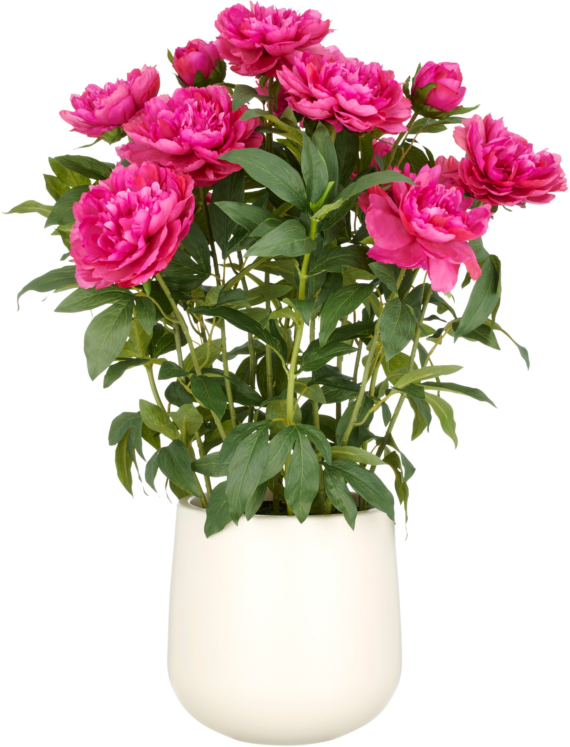 Creativ green Kunstpflanze »Peonie« im eleganten Topf