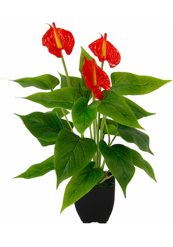 Kunstblume »Anthuriumpflanze«