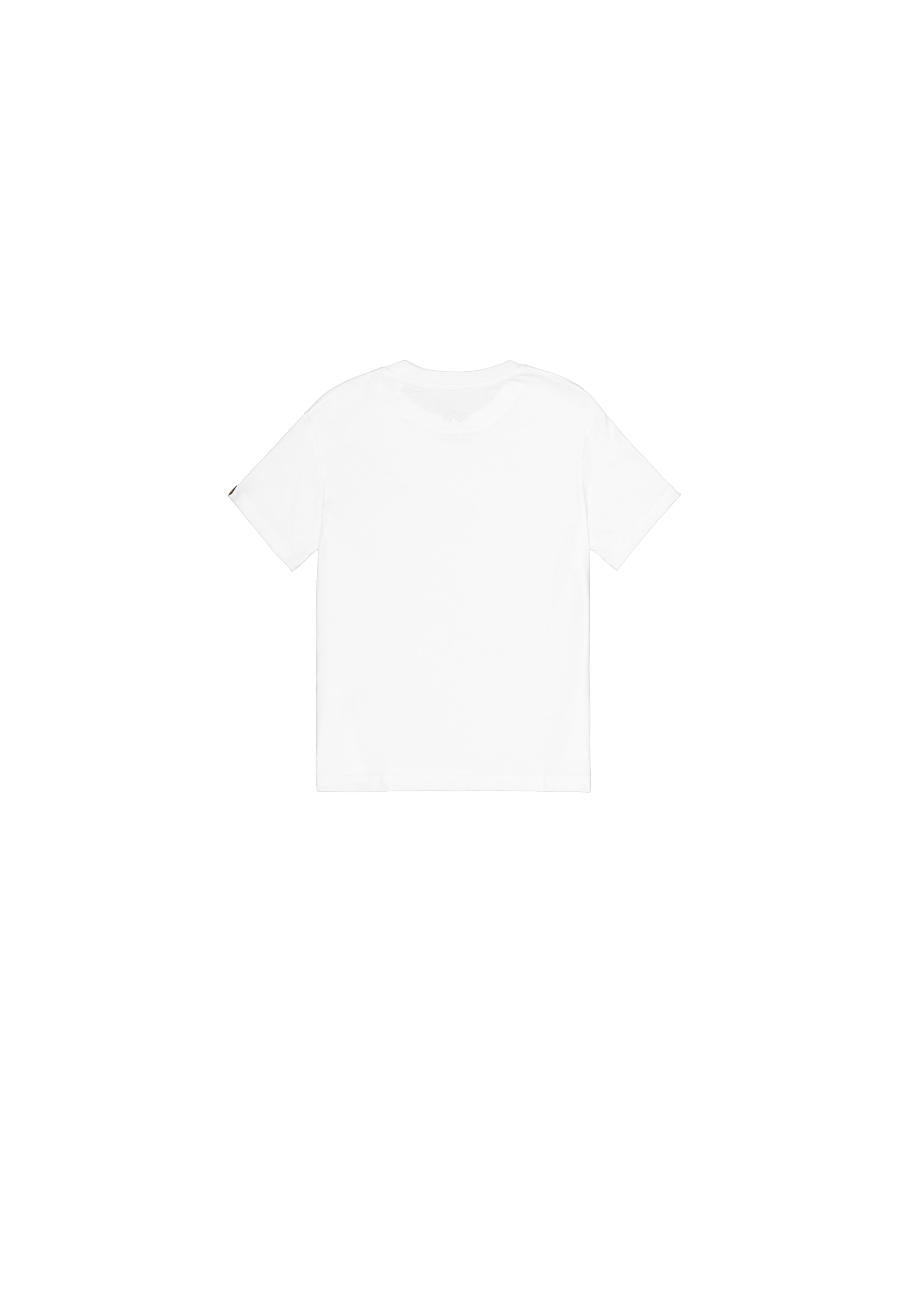 Alpha Industries T-Shirt »Basic T-Shirt BL Puff Print W«