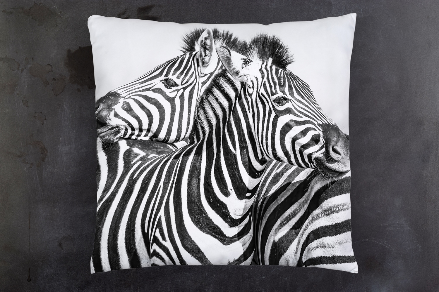 queence Dekokissen »Zebras«, Kissenhülle mit HD Premium Druck, geruchsneutral, 40x40cm