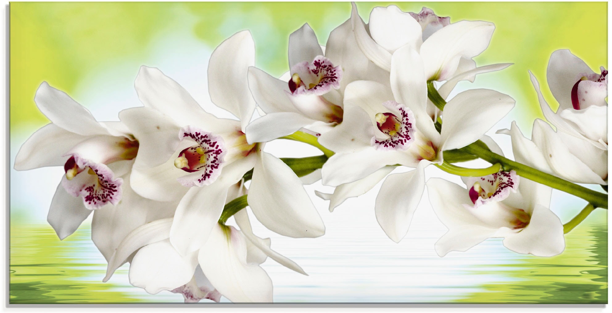 Artland Glasbild »Weiße Orchidee«, Blumen, (1 St.), in verschiedenen Größen