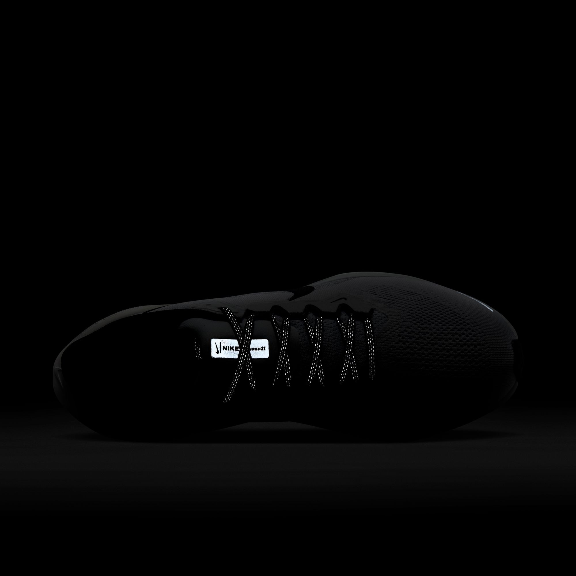 Nike Laufschuh »AIR ZOOM PEGASUS 41«