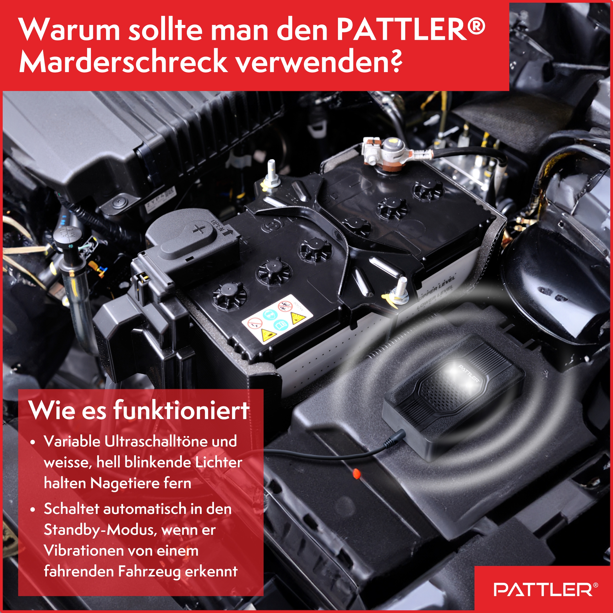 Pattler Ultraschall-Tierabwehr »Marderschreck fürs Auto mit Blitzlicht« 1 Gerät