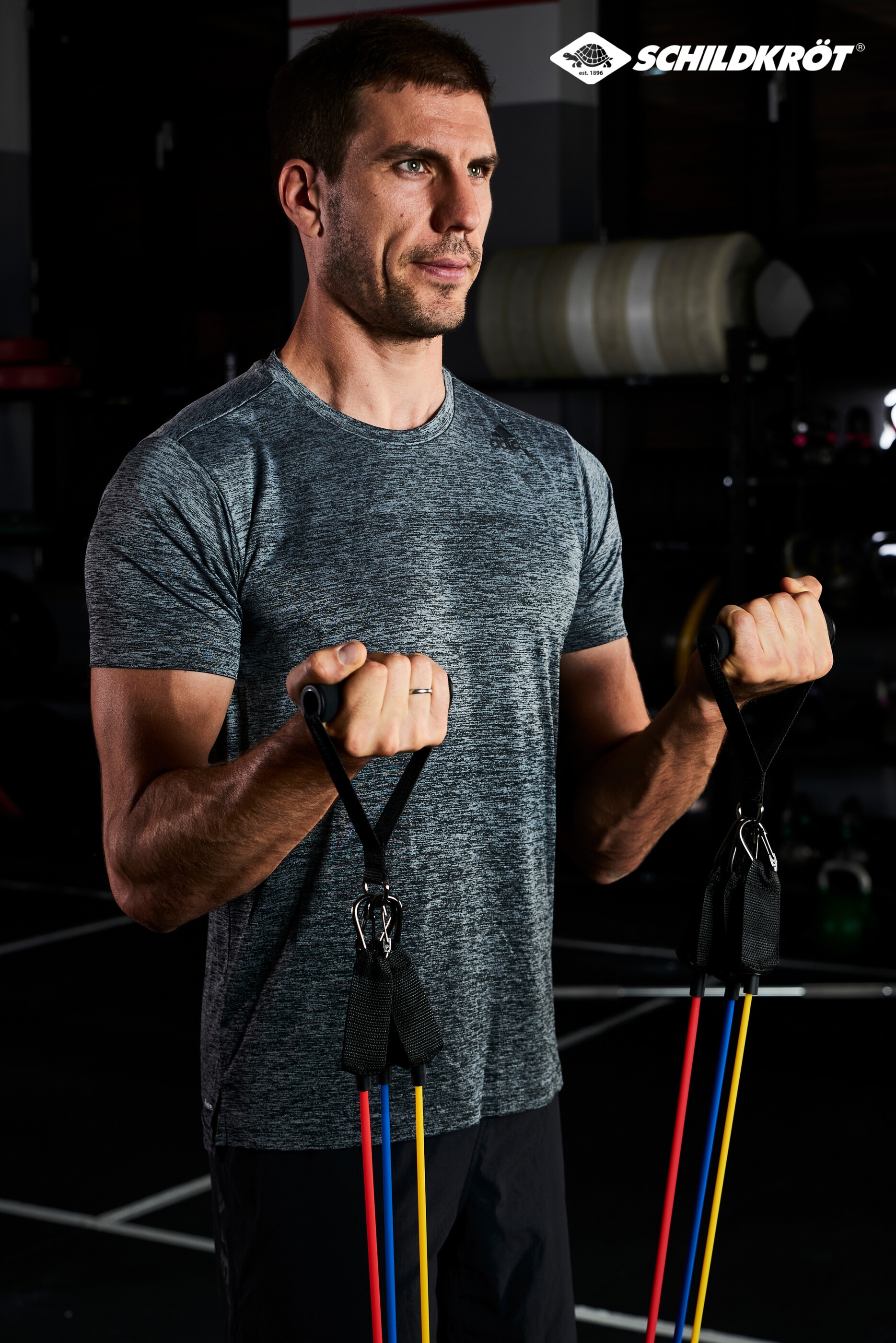 Schildkröt Kraftbänder bis zu 29 verschiedene Widerstandslevel