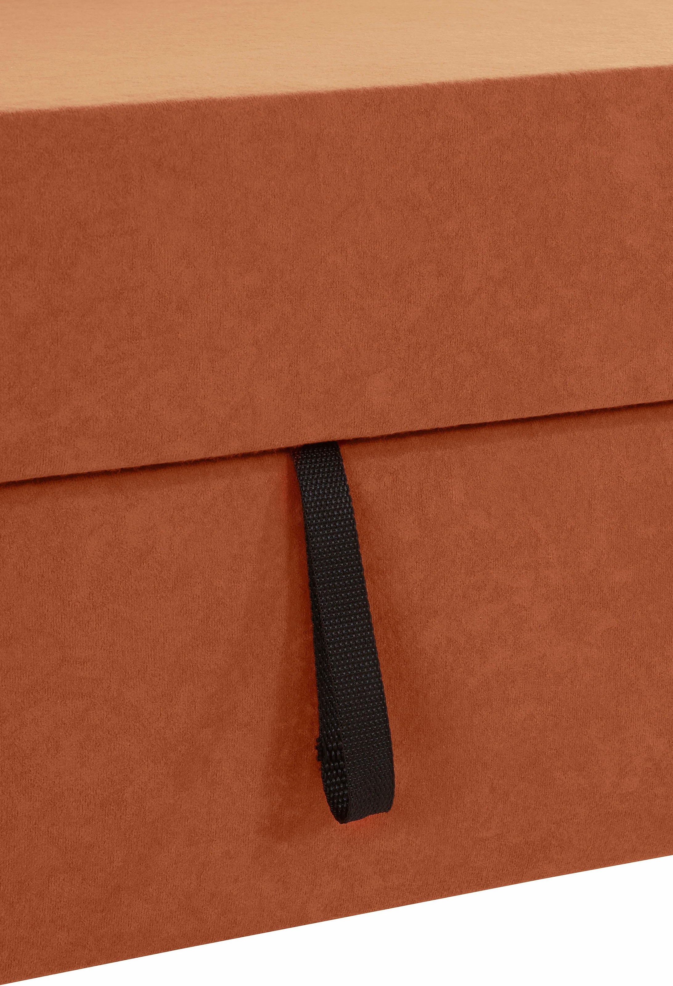 DOMO collection Ecksofa »Sarafina zeitlos und komfortabel, optional mit Federkern, L-Form«, wahlweise mit Bettfunktion