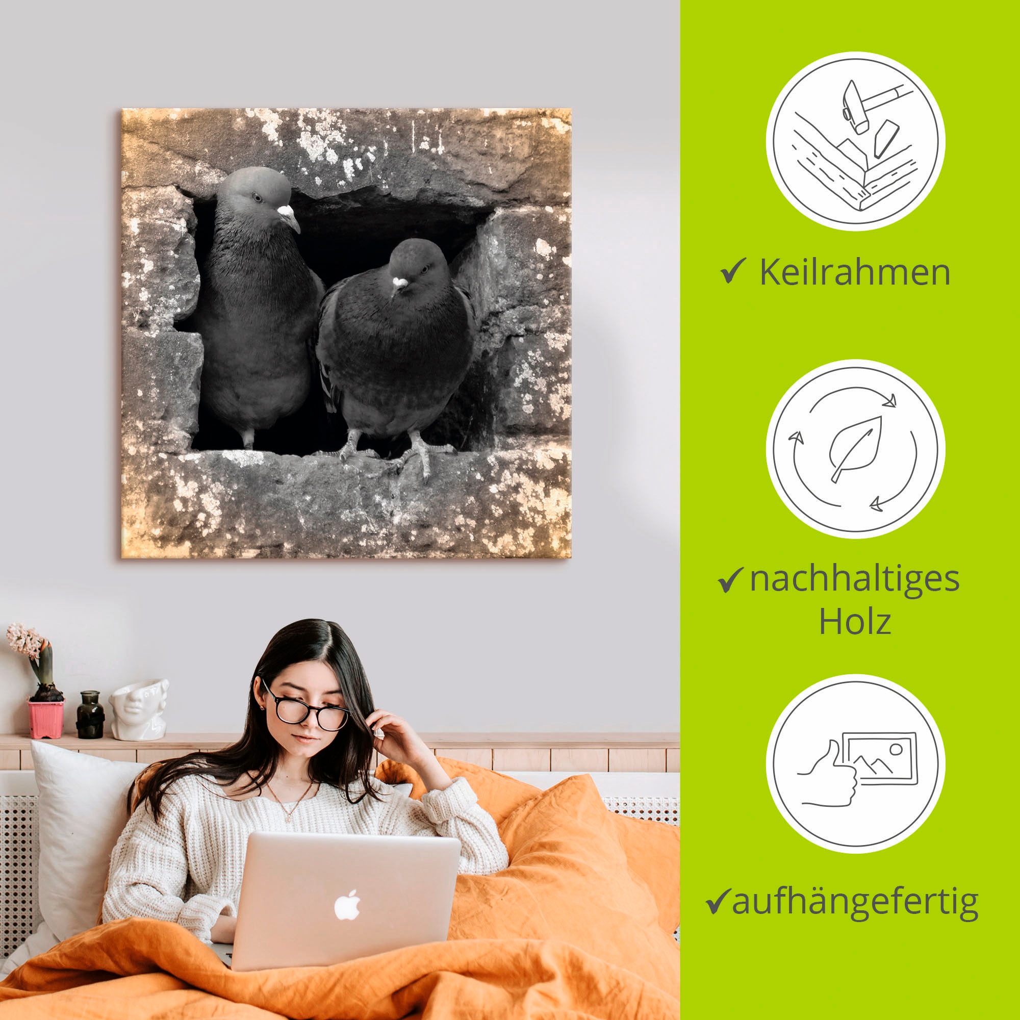 Artland Wandbild »Tauben Liebe«, Vögel, (1 St.), als Alubild, Outdoorbild, Leinwandbild, Poster in verschied. Größen