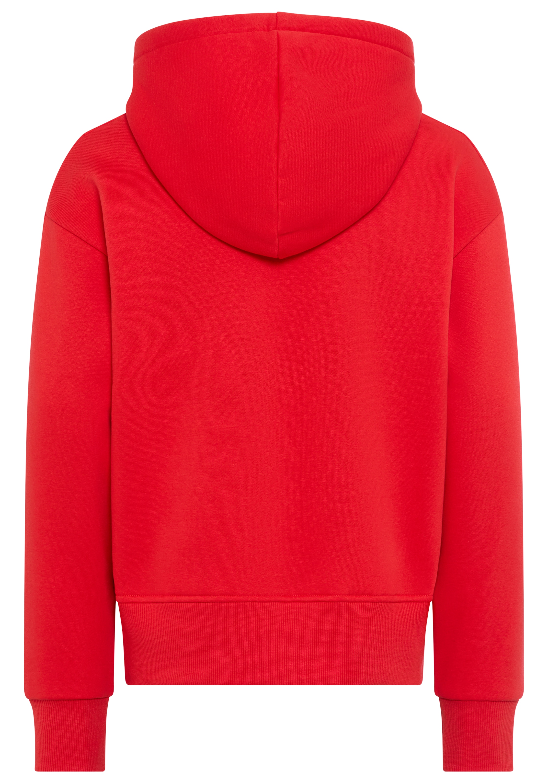 Levi's® Kids Kapuzensweatshirt »LVG BATWING PATCH HOODIE«, mit Daumenloch