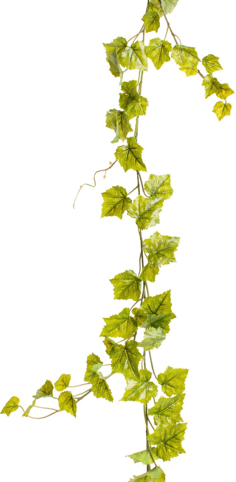 Botanic-Haus Künstliche Zimmerpflanze »Weinlaubgirlande«