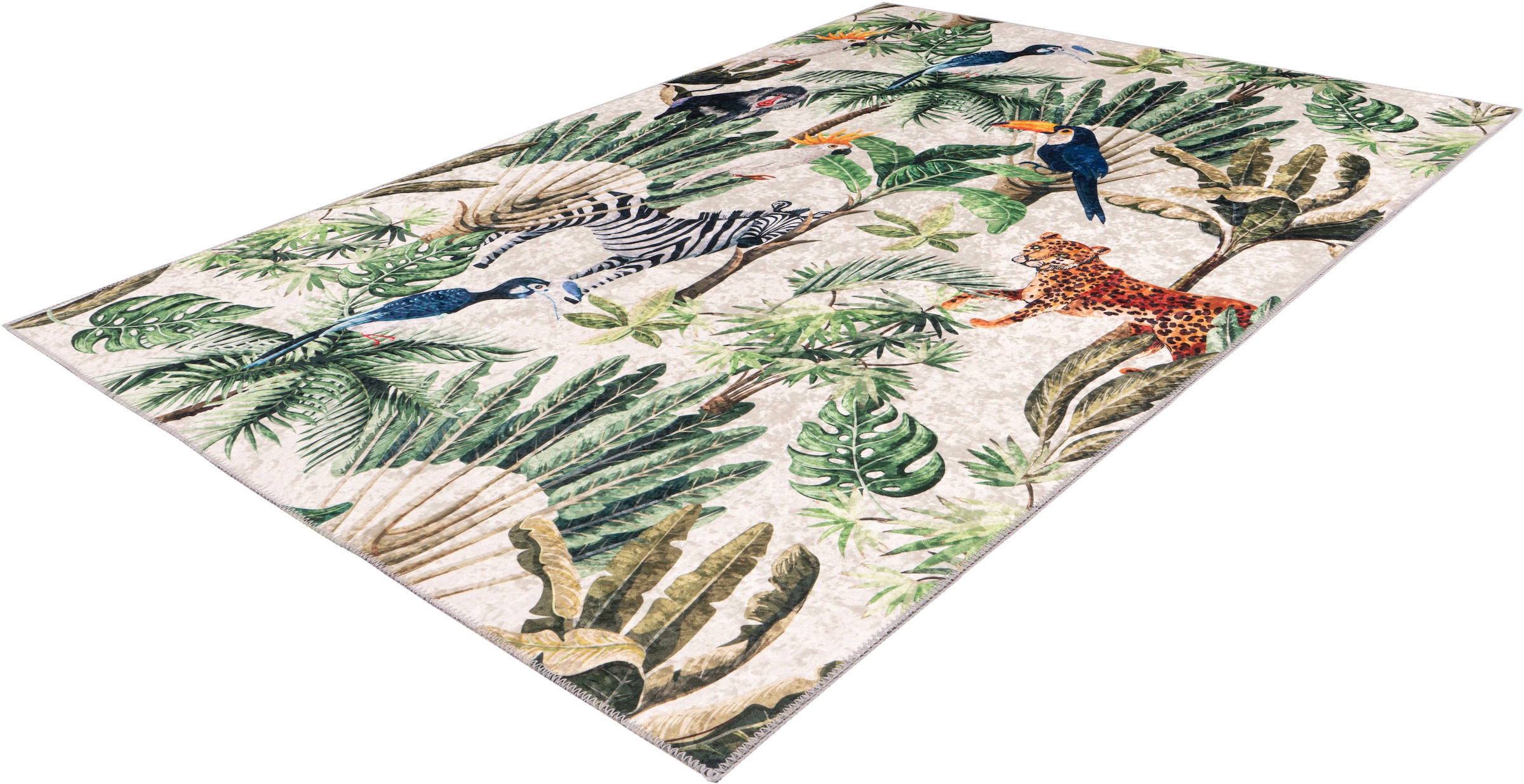 Obsession Teppich »Exotic 13m« rechteckig 5 mm Höhe Kurzflor, Wohnzimmer