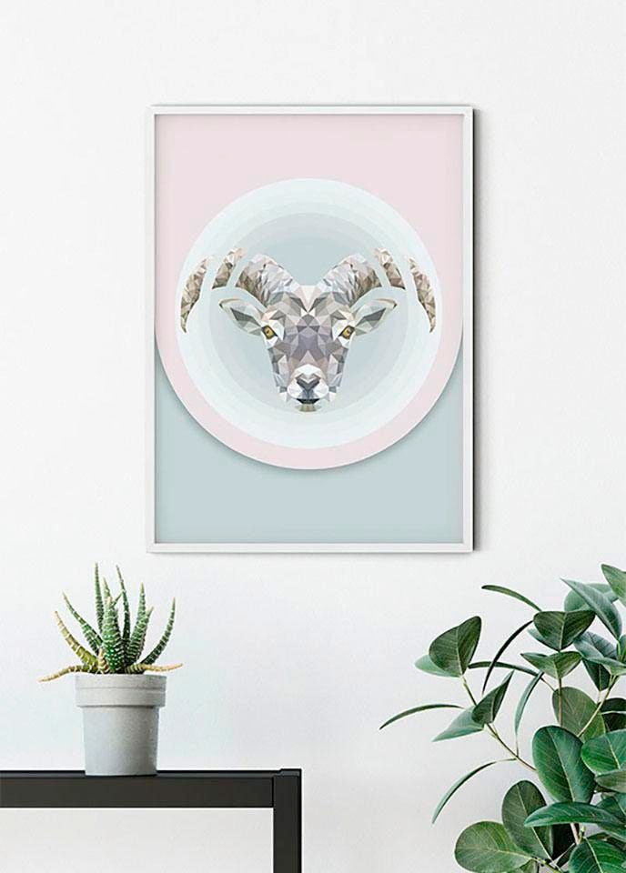 Komar Poster »Capricorn«, Tiere, (1 St.), Kinderzimmer, Schlafzimmer, Wohnzimmer