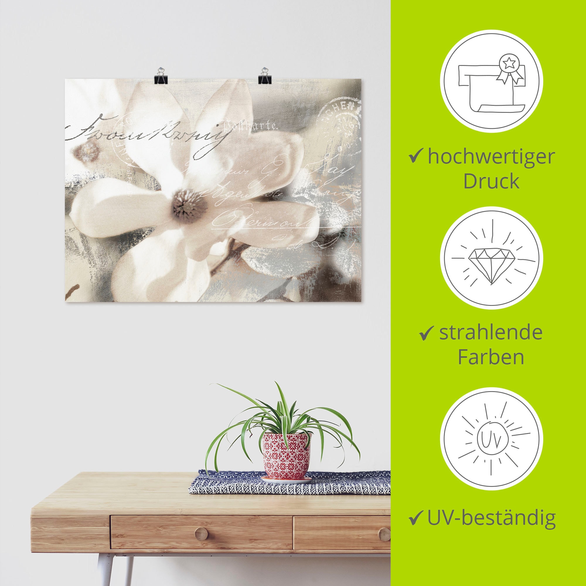 Artland Wandbild »Magnolie_Detail« Blumenbilder 1 Stk. tlg. als Alubild, Outdoorbild, Leinwandbild, Poster, Wandaufkleber