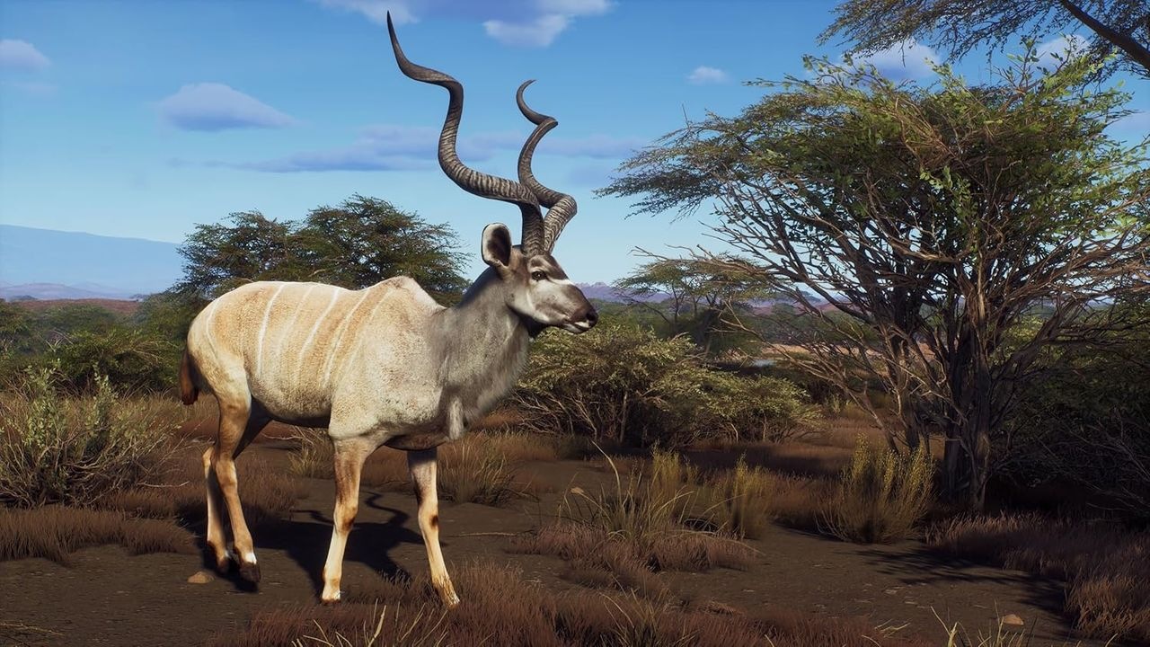 THQ Nordic Spielesoftware »Way of the Hunter - Wild Expeditions«, PlayStation 5