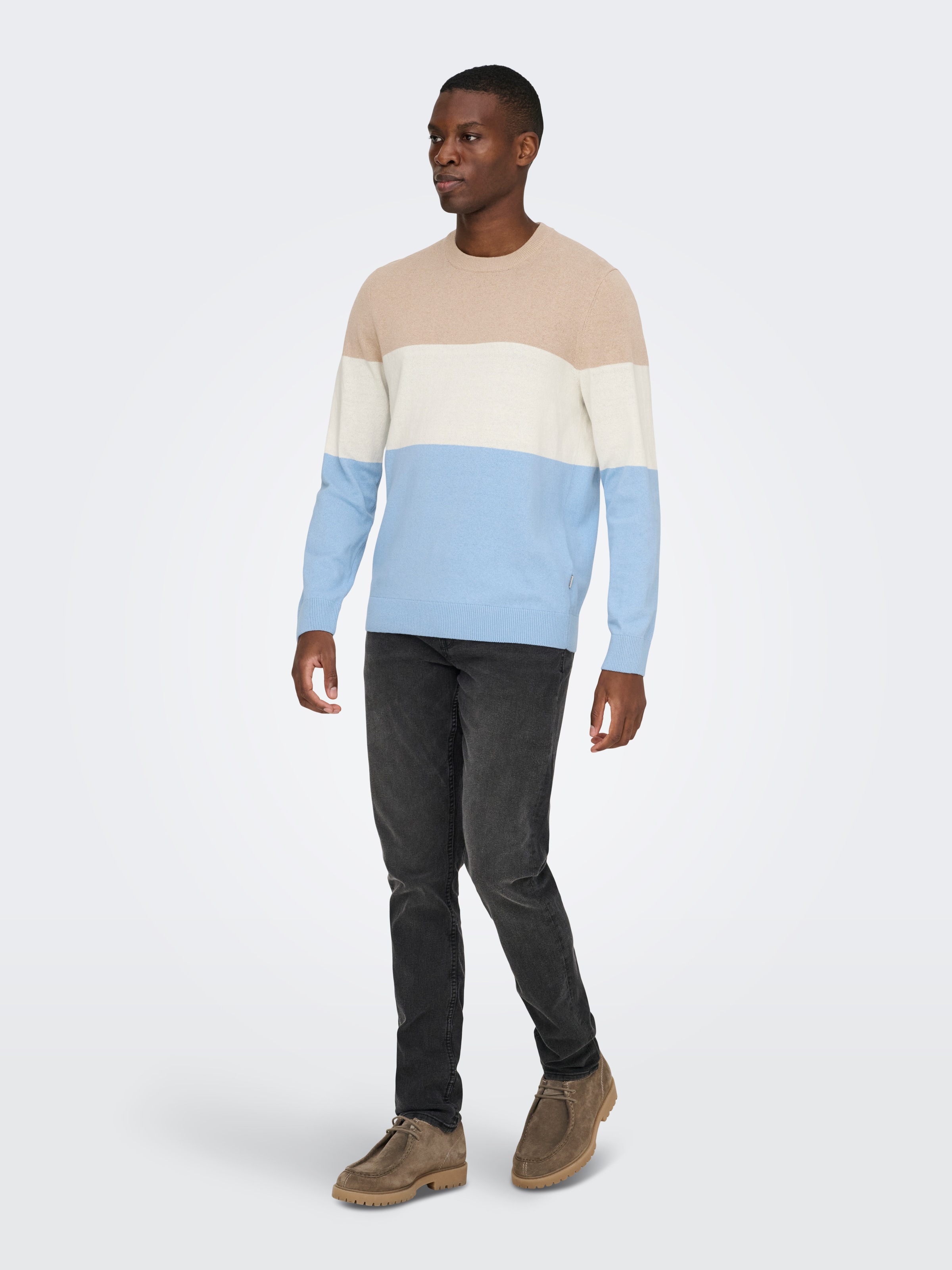 ONLY & SONS Rundhalspullover »ONSREX LIFE REG 12 CREW KNIT«