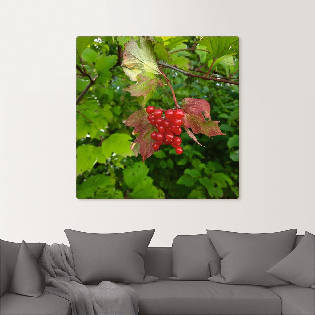 Artland Wandbild »Rote Wildbeeren«, Blätterbilder, (1 St.), als Alubild, Leinwandbild, Wandaufkleber oder Poster in versch. Größen