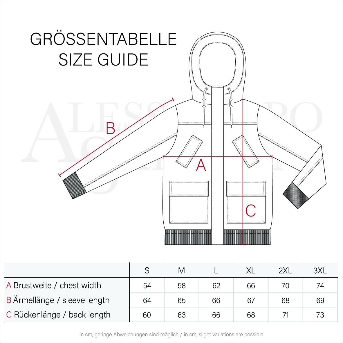 Alessandro Salvarini Winterjacke »Alessandro Salvarini Herren Winter Jacke AS139«