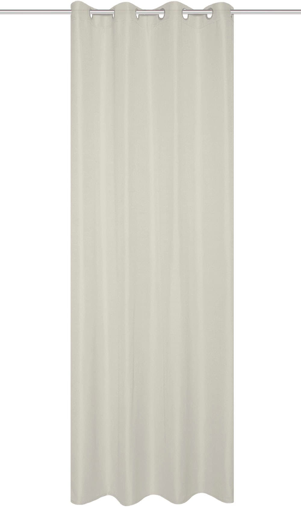 Home Basics Vorhang »SOFTY«, (1 St.), Ösenschal SOFTY Uni