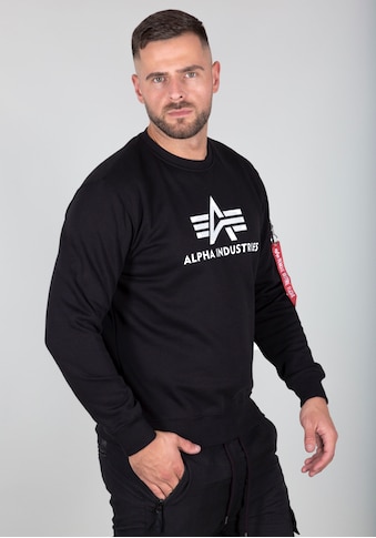 Alpha Industries Sweatshirt »3D Logo Sweater II« kaufen