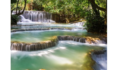 Papermoon Fototapete »Forest Waterfall Laos« kaufen