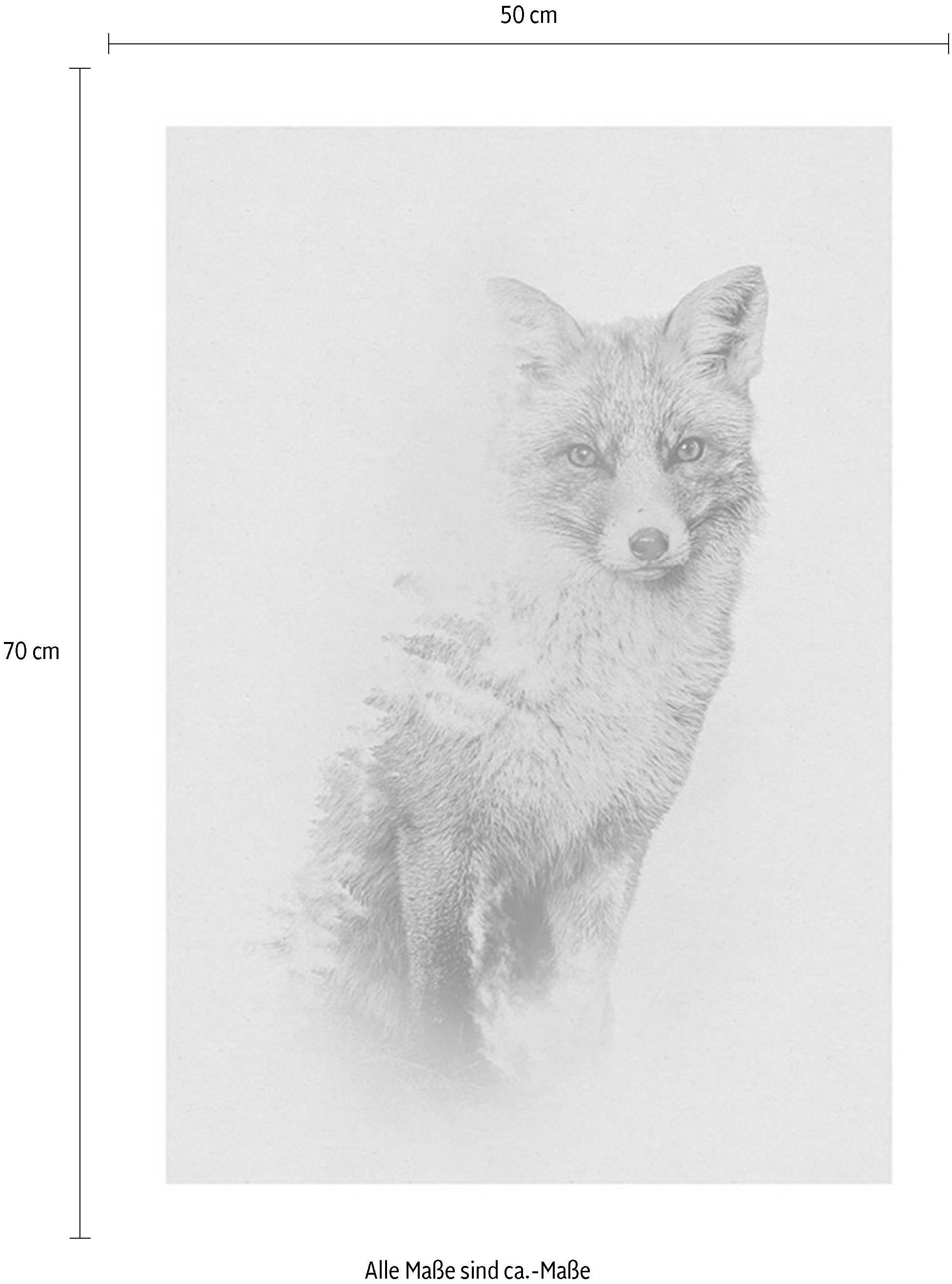 Komar Bild »Animals Forest Fox«, Tiere, (1 St.), Wandbild zur Dekoration - ohne Rahmen