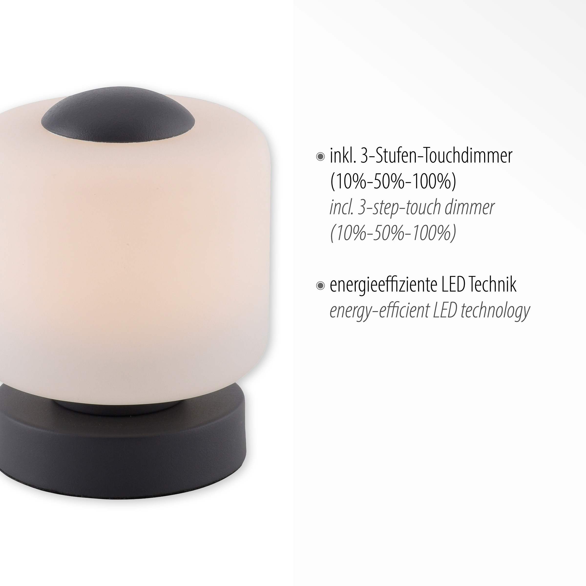 Paul Neuhaus Tischleuchte »BOTA«, 1 flammig, Leuchtmittel LED-Board | LED fest integriert, LED, dimmbar über Touchdimmer