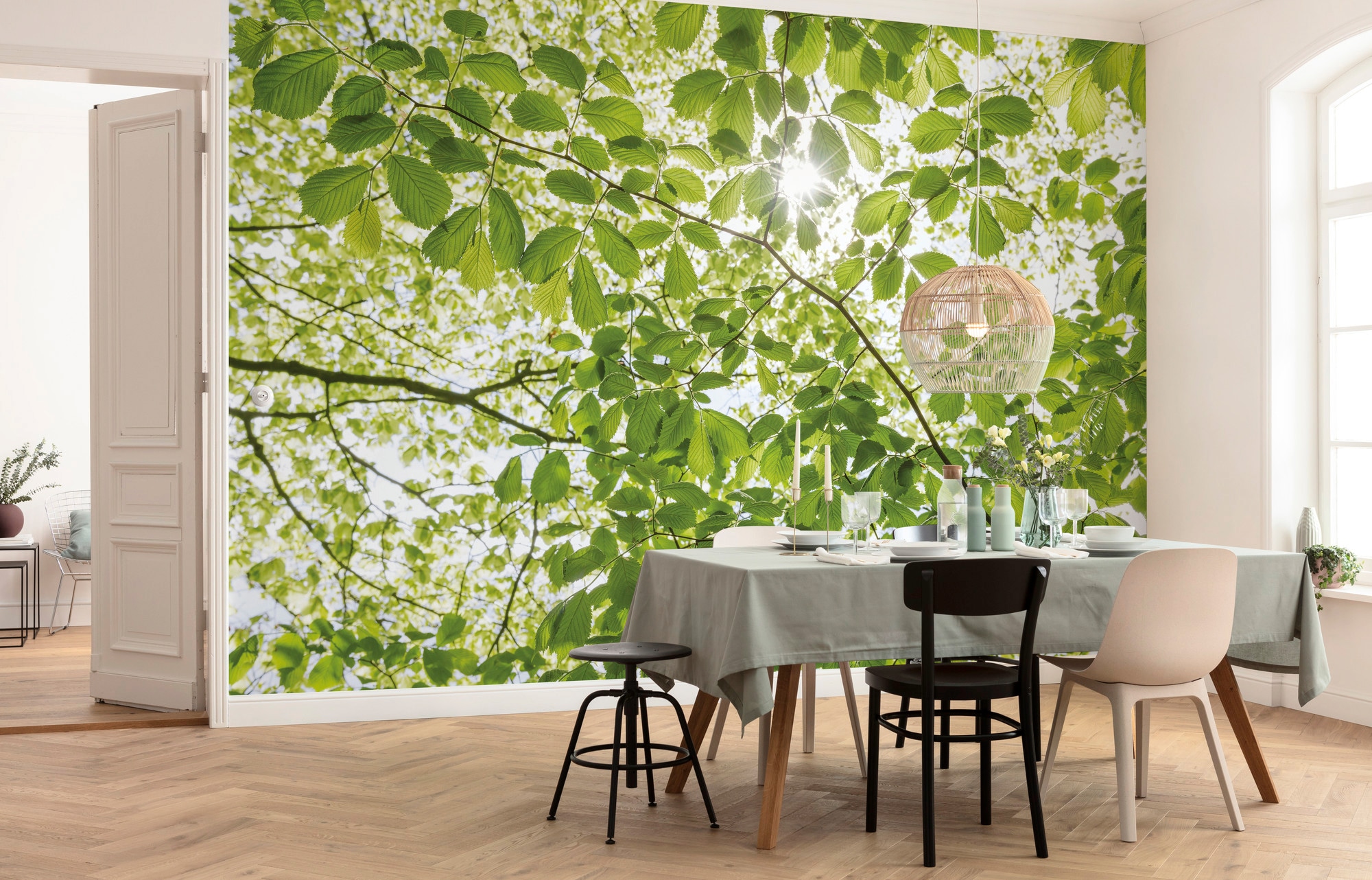Komar Vliestapete »Digitaldruck Vlies - Im Frühlingswald - Größe 250 x 280 cm«, bedruckt, Wohnzimmer, Schlafzimmer