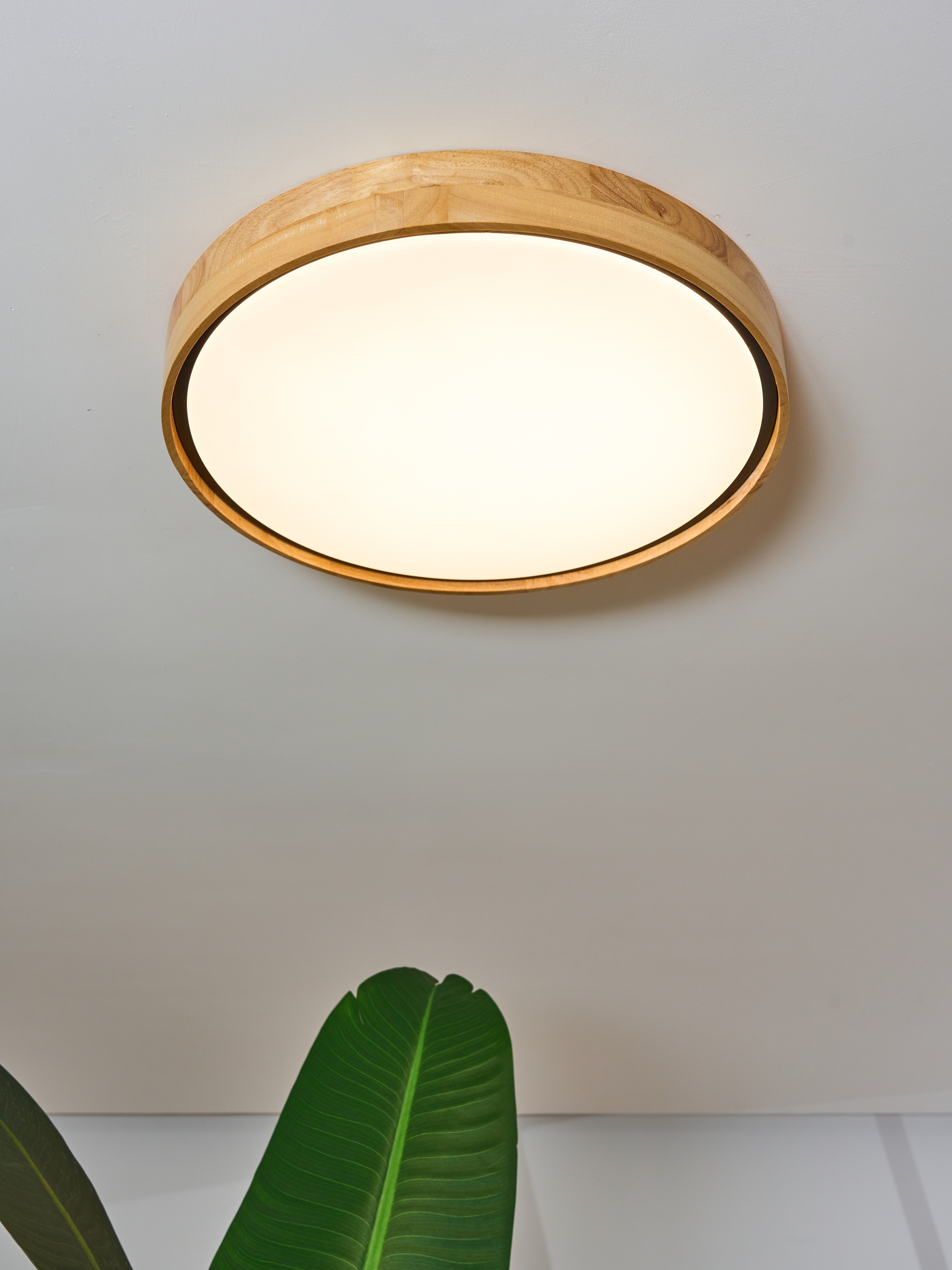 ECO-LIGHT LED Deckenleuchte »LED-Deckenleuchte PUINEN«, 1 flammig, Leuchtmittel LED-Board | LED fest integriert