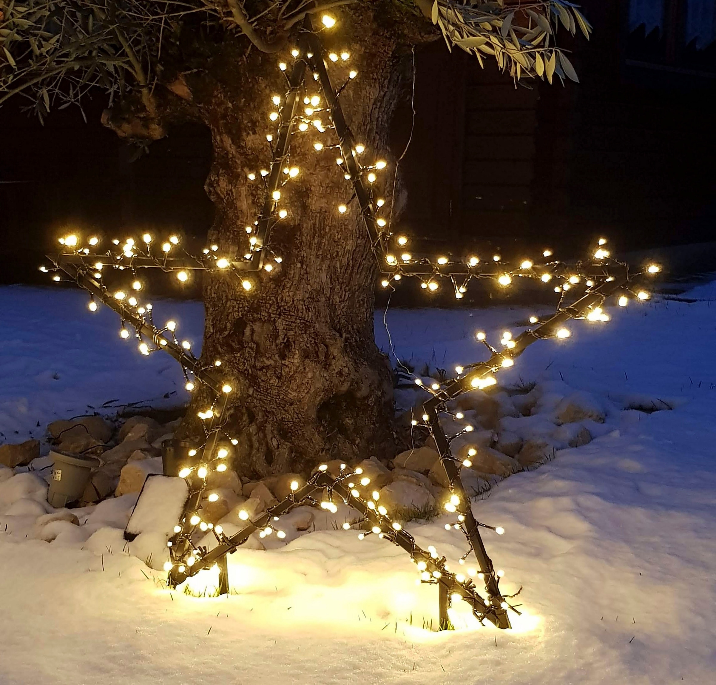 Star-Max LED Stern »Weihnachtsstern, Weihnachtsdeko«, Beleuchtung LED- im bestellen Shop Gartenstecker OTTO Online mit