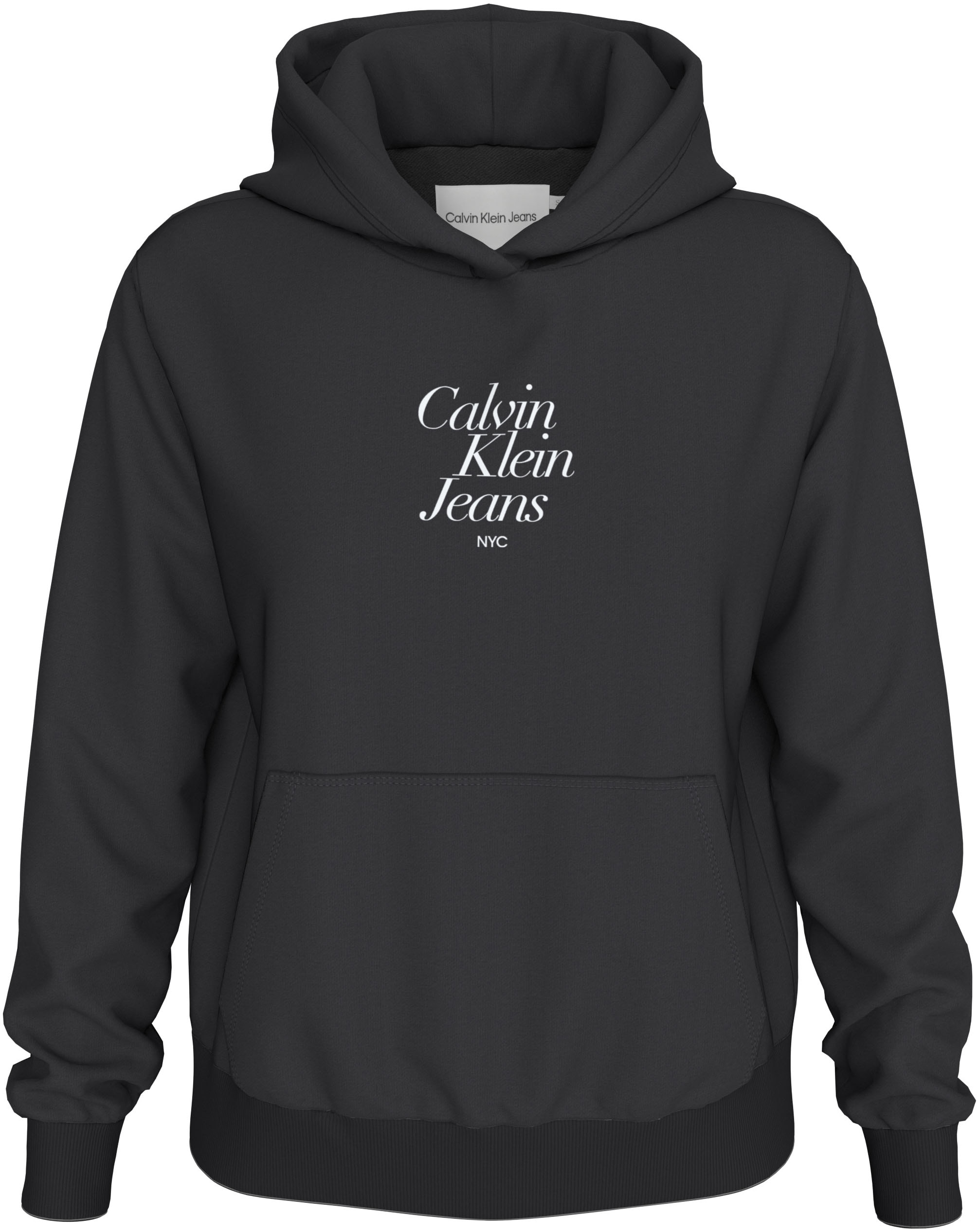 Kapuzensweatshirt »FONT GRAPHIC REGULAR HOODIE«, mit Logoschriftzug