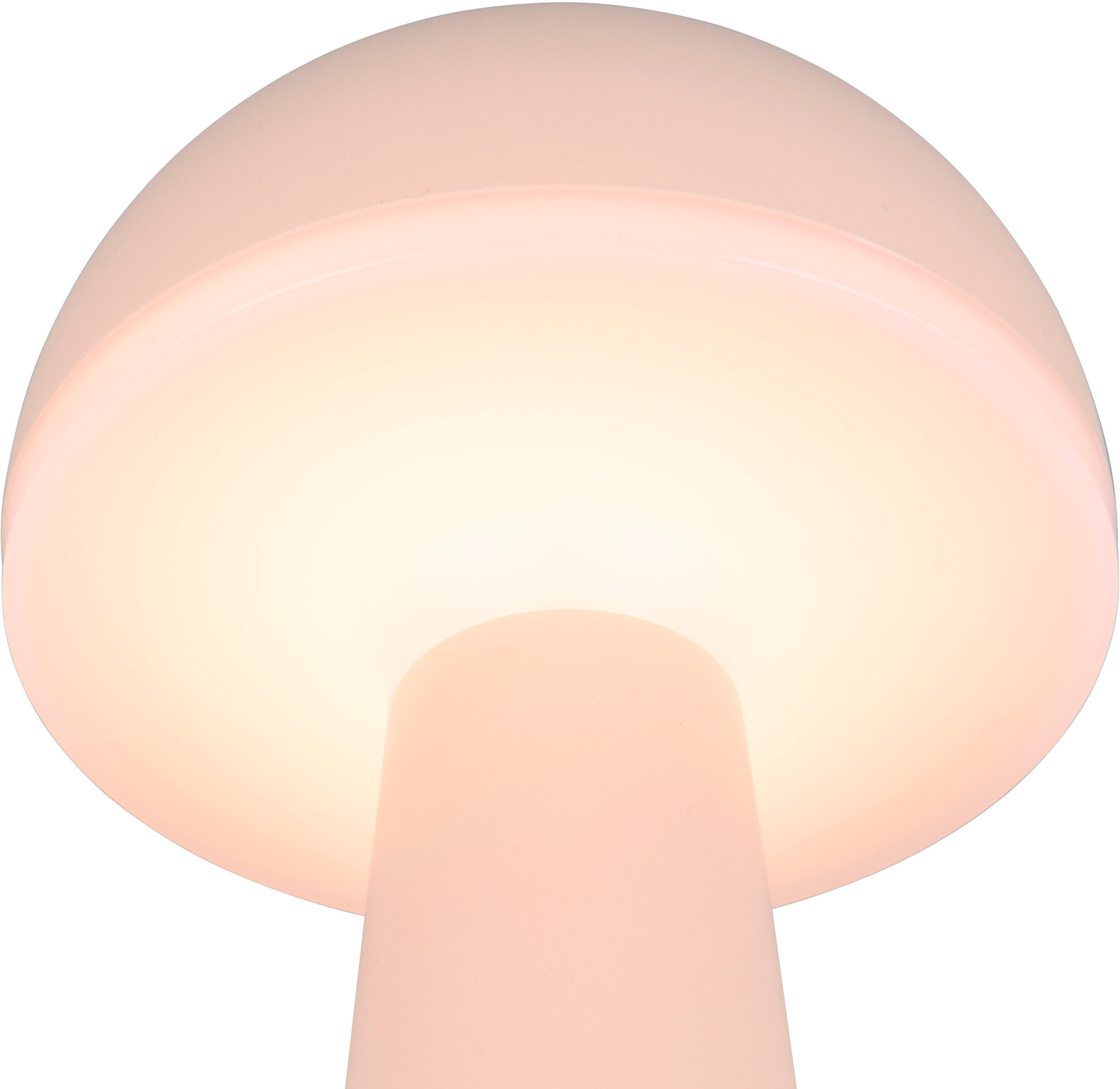 REALITY Leuchten LED Außen-Tischleuchte »FUNGO«, 1 flammig, Leuchtmittel LED-Board | LED fest integriert, Outdoor Akku Tischlampe inkl Ladestation USB-C, Lichtfarbe einstellbar