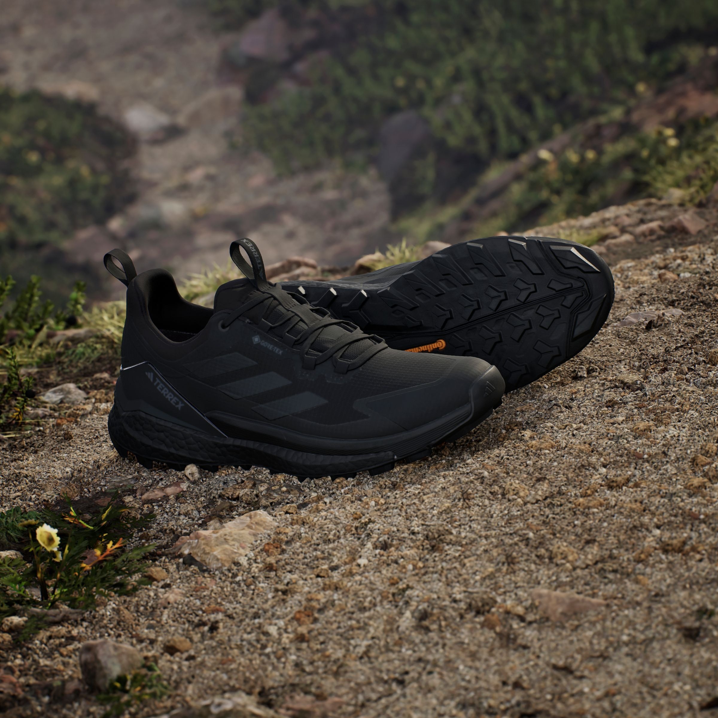 adidas TERREX Wanderschuh »TERREX FREE HIKER 2.0 LOW GORE-TEX«, wasserdicht
