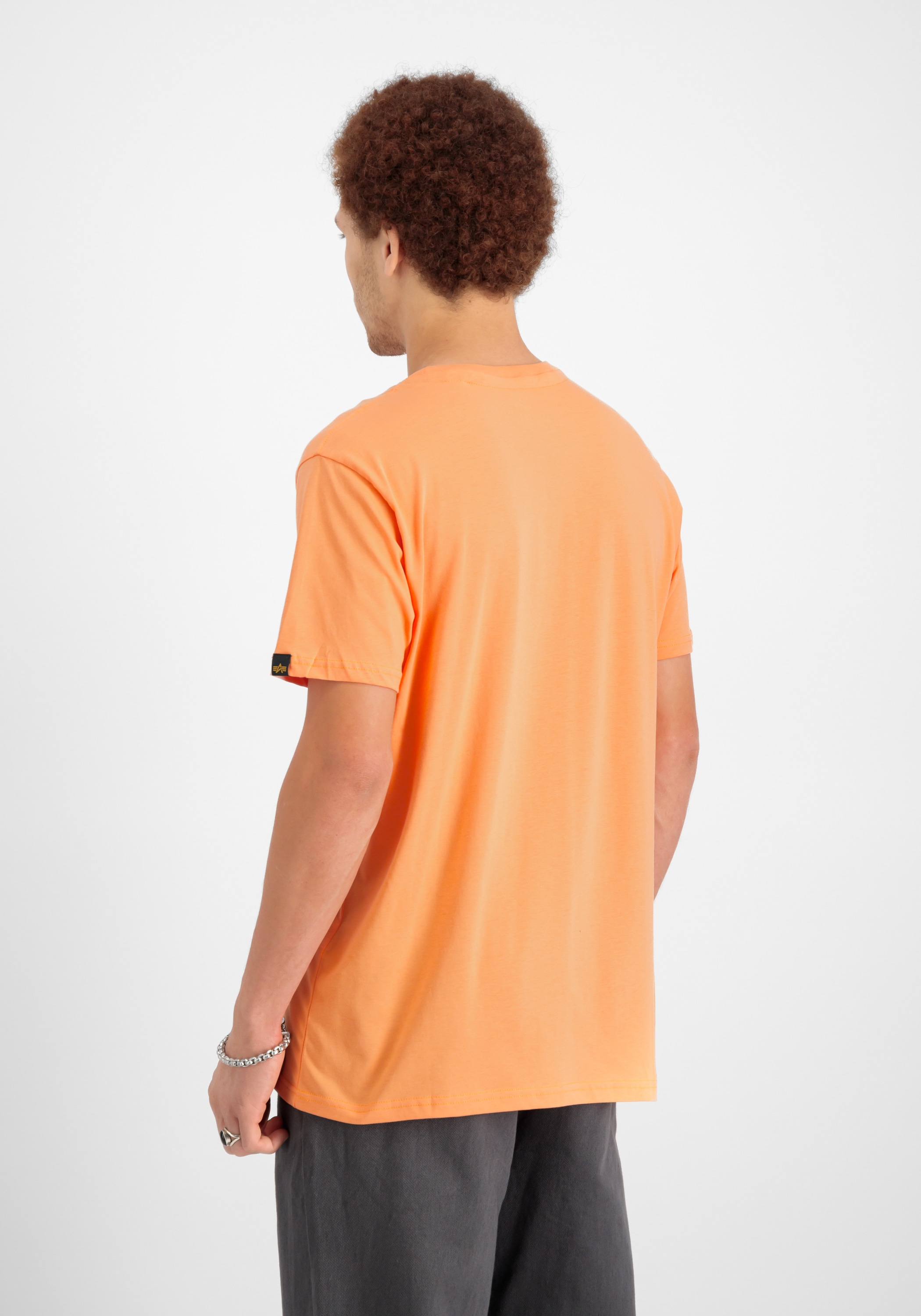 Alpha Industries T-Shirt »Alpha Label T-Shirt PP«