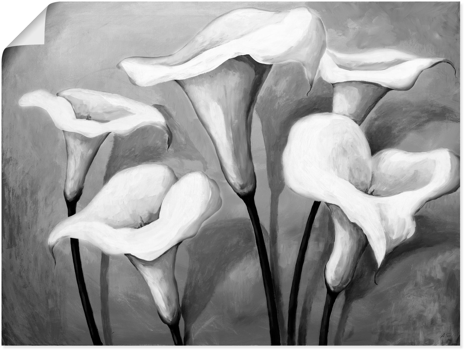 Artland Wandbild »Callas II«, Blumen, (1 St.), in vielen Größen & Produktarten -Leinwandbild, Poster, Wandaufkleber / Wandtattoo auch für Badezimmer geeignet