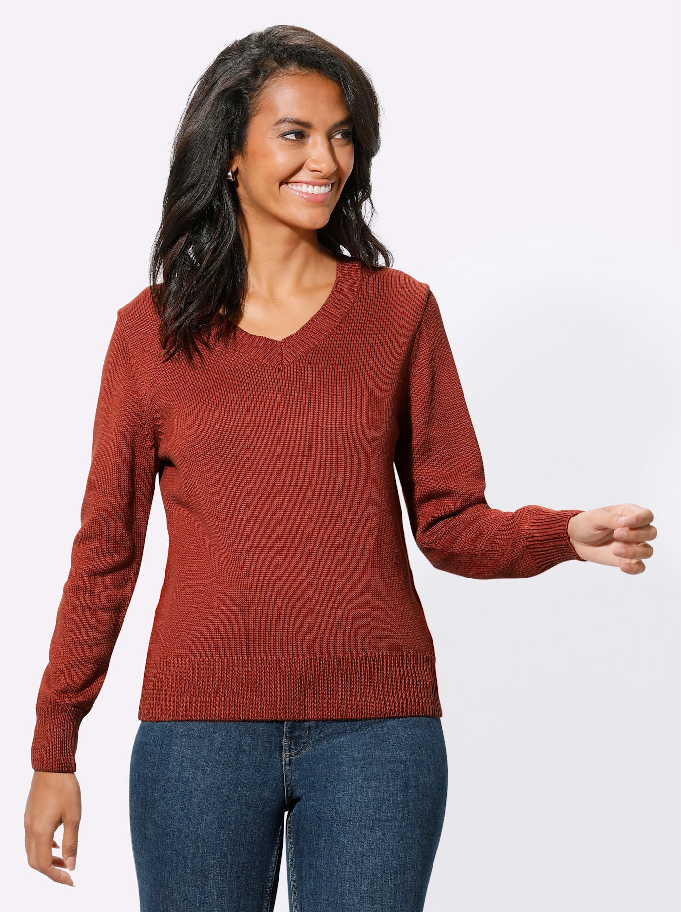 Casual Looks V-Ausschnitt-Pullover »Pullover«