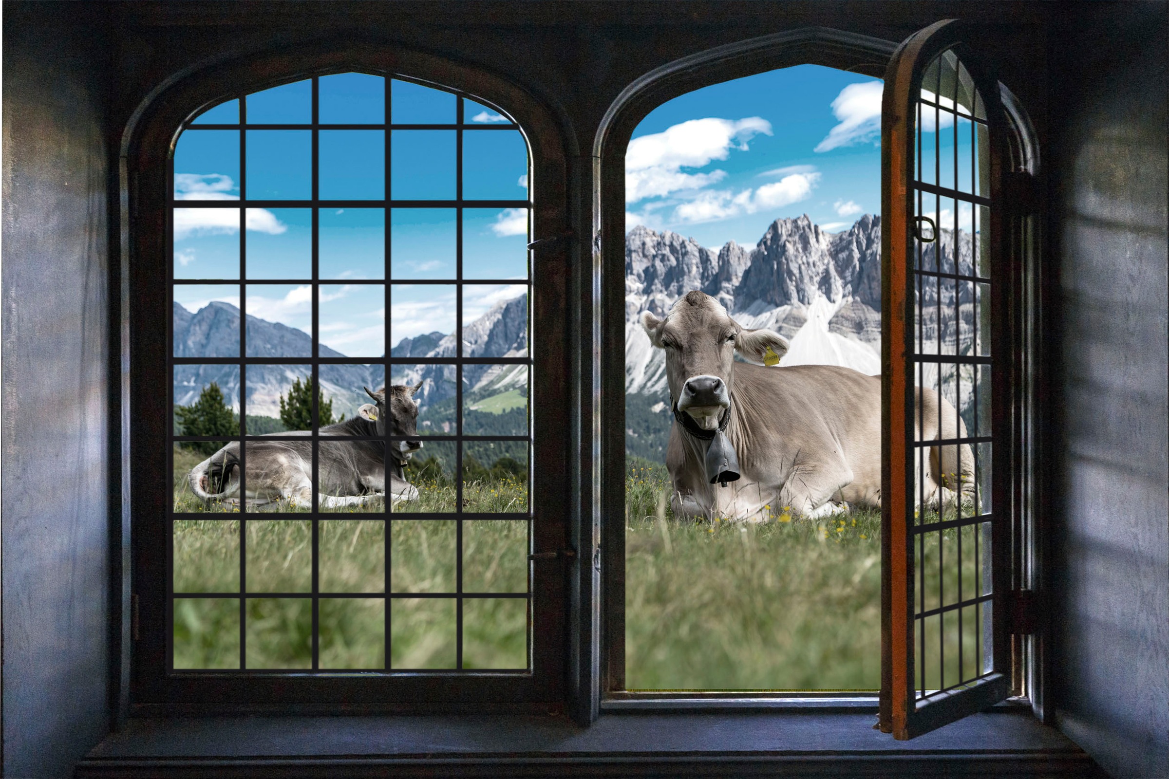queence Wandsticker »Touch of Austria«