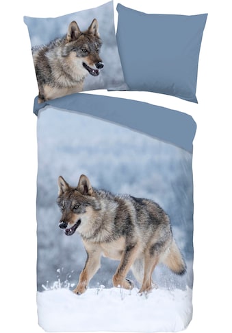 good morning Wendebettwäsche »Snow Wolf«, (2 tlg.), 100% Baumwoll-Renforcé kaufen
