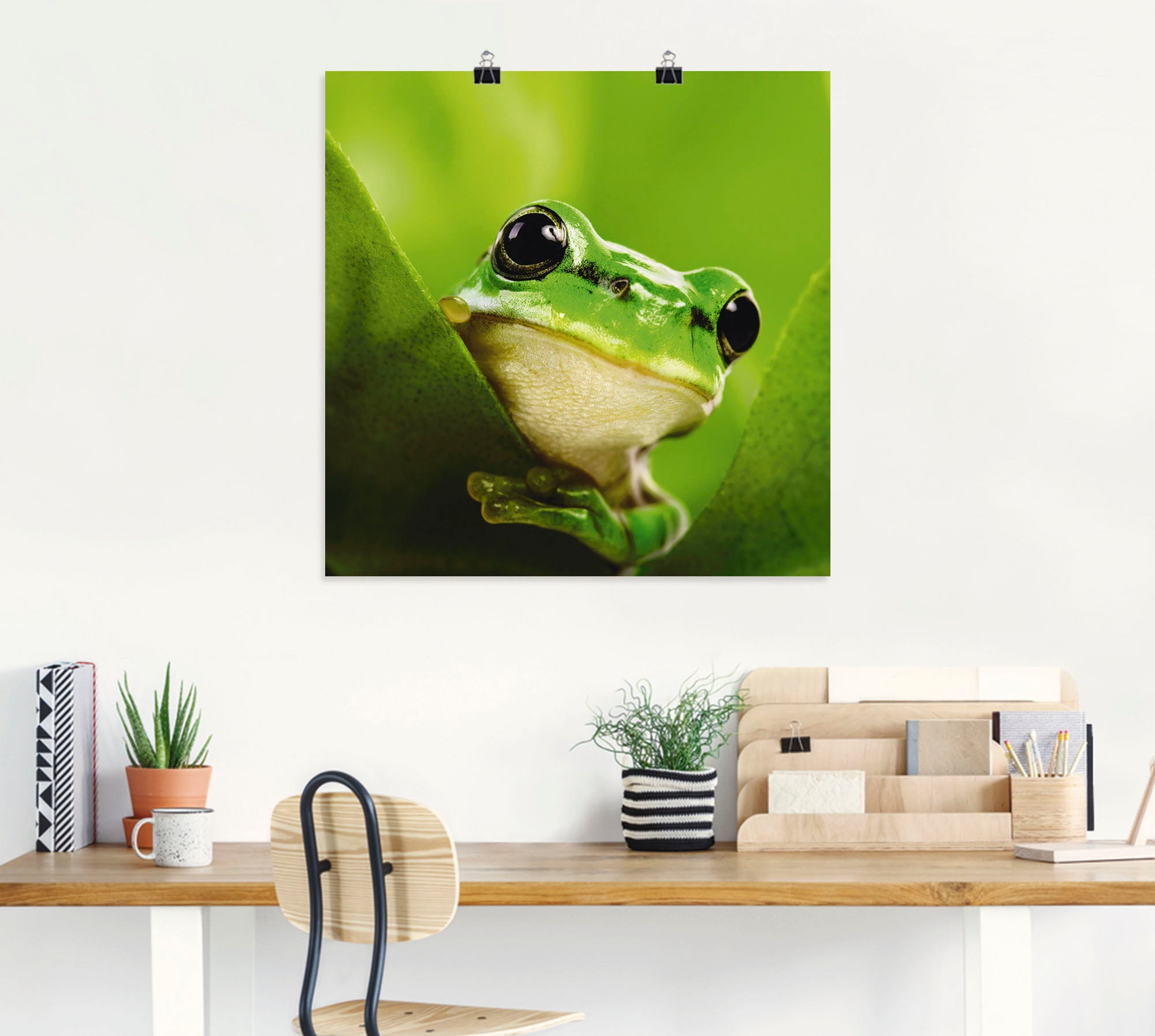 Artland Wandbild »Ausspähender Frosch« Wassertiere 1 Stk. tlg. als Leinwandbild, Poster in verschied. Größen