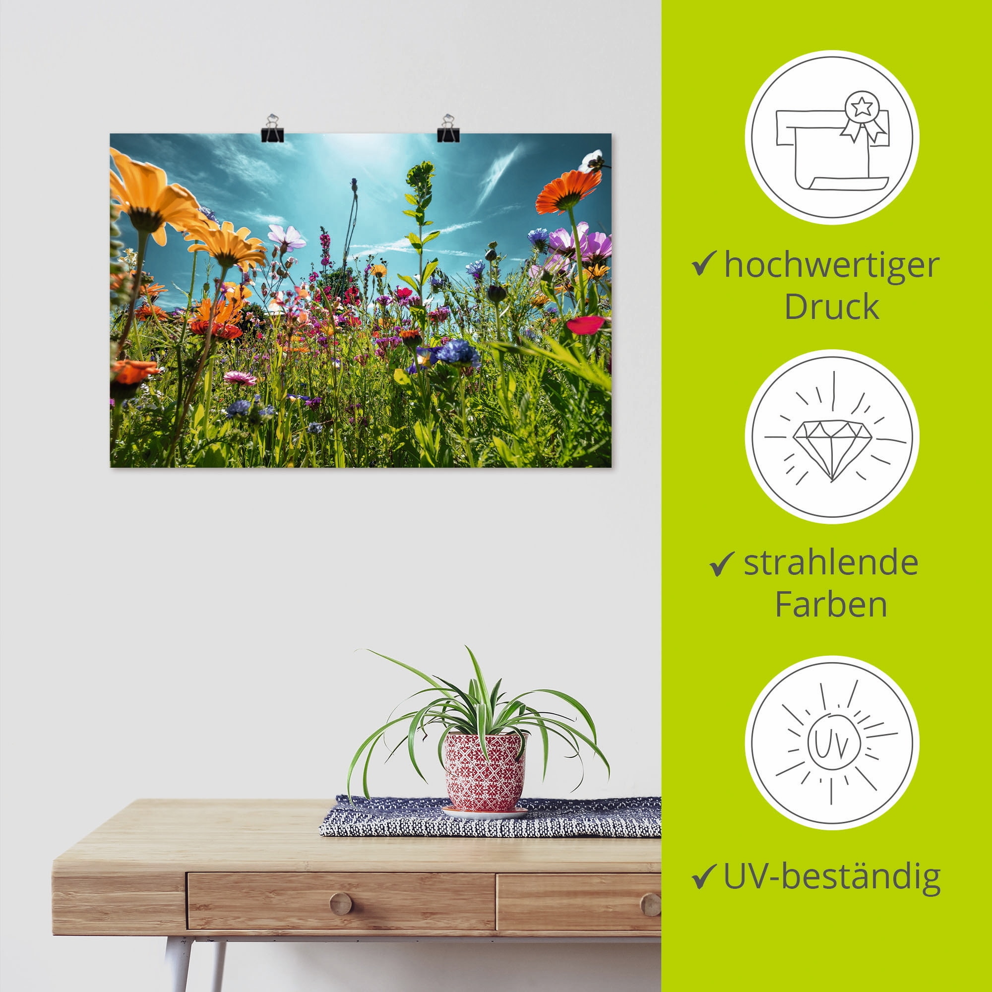 Artland Wandbild »Buntes Blumenfeld«, Blumenwiese, (1 St.), als Alubild, Outdoorbild, Leinwandbild, Poster, Wandaufkleber